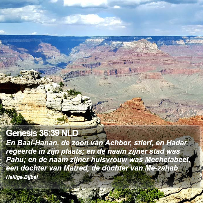 Genesis 36:39 NLD Bible Study