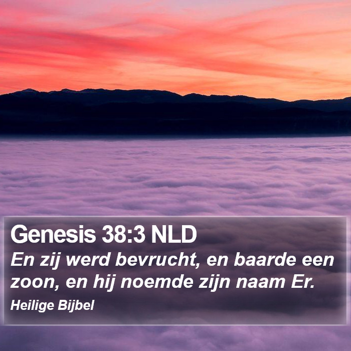 Genesis 38:3 NLD Bible Study