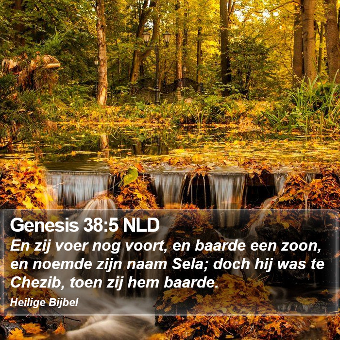 Genesis 38:5 NLD Bible Study