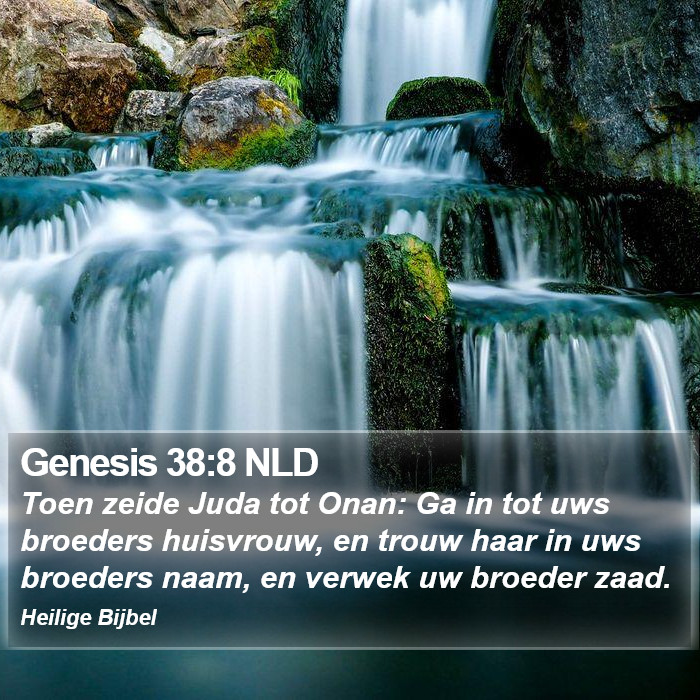 Genesis 38:8 NLD Bible Study