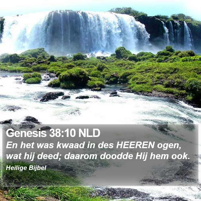 Genesis 38:10 NLD Bible Study