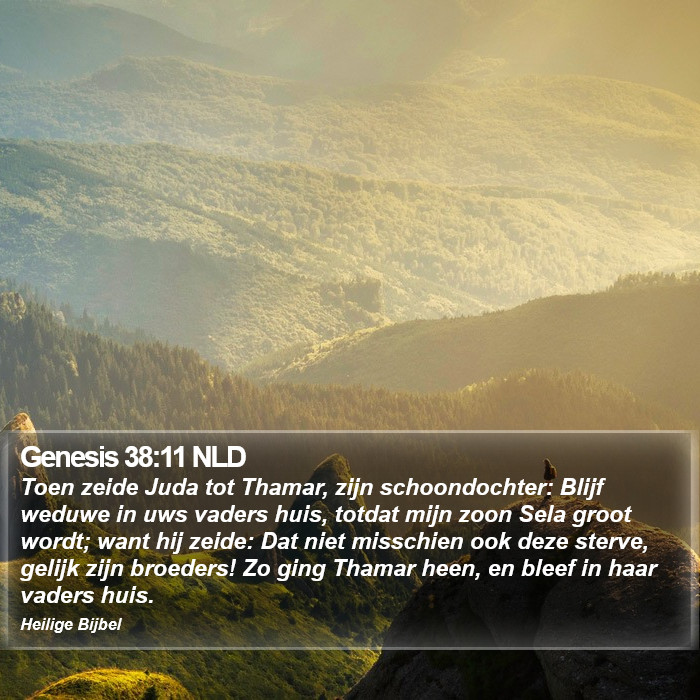 Genesis 38:11 NLD Bible Study