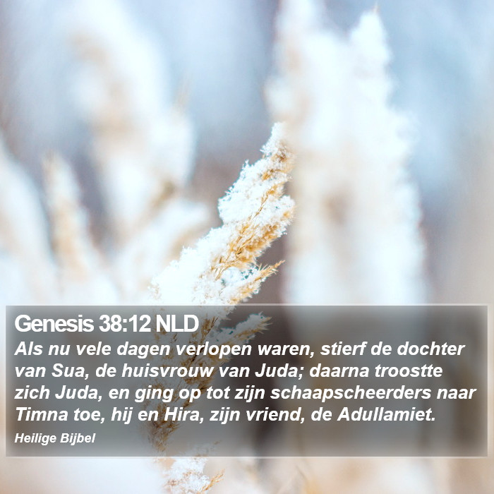 Genesis 38:12 NLD Bible Study