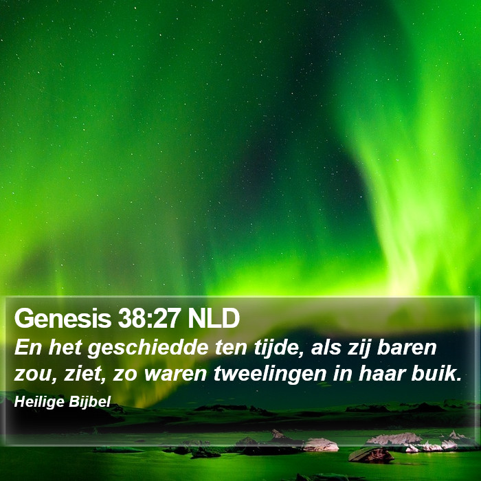 Genesis 38:27 NLD Bible Study