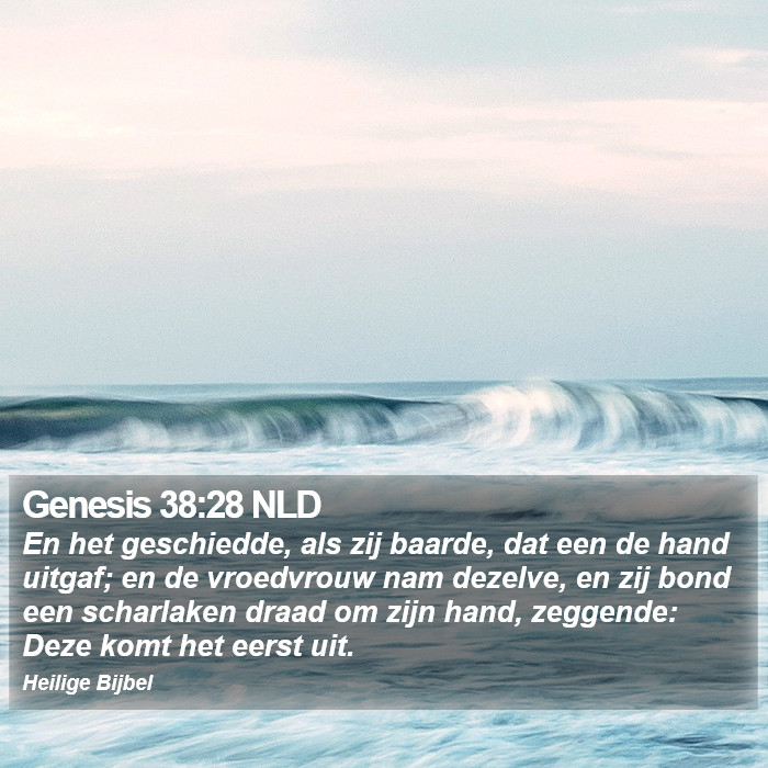 Genesis 38:28 NLD Bible Study