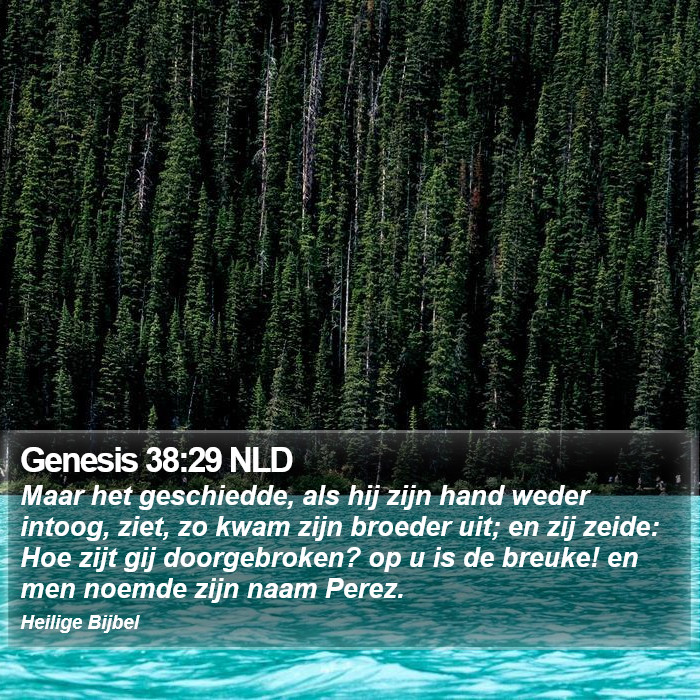 Genesis 38:29 NLD Bible Study