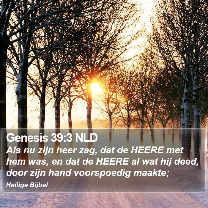 Genesis 39:3 NLD Bible Study