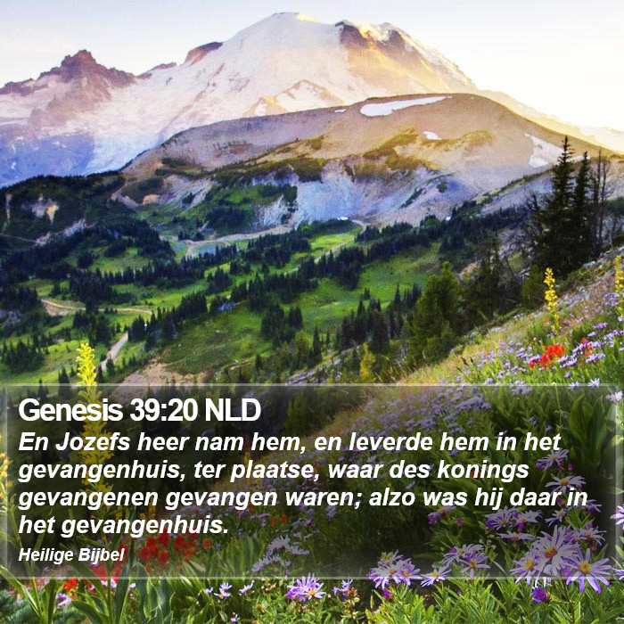 Genesis 39:20 NLD Bible Study