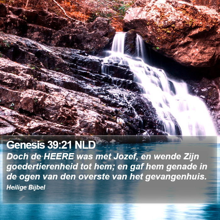 Genesis 39:21 NLD Bible Study