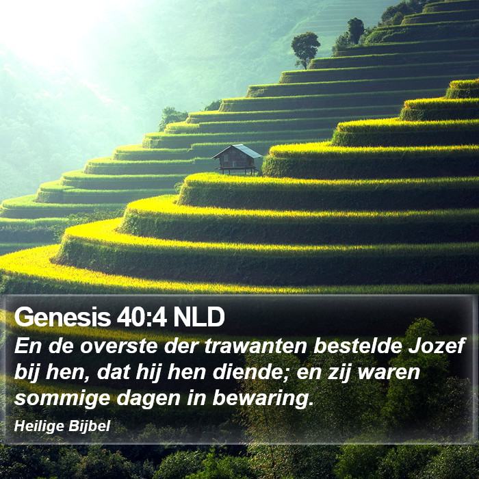 Genesis 40:4 NLD Bible Study