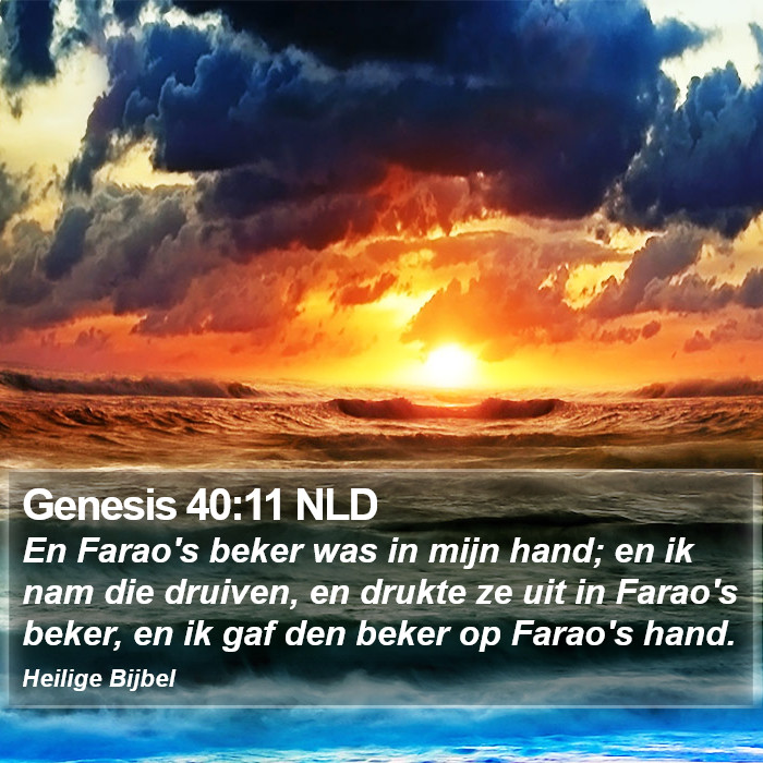 Genesis 40:11 NLD Bible Study