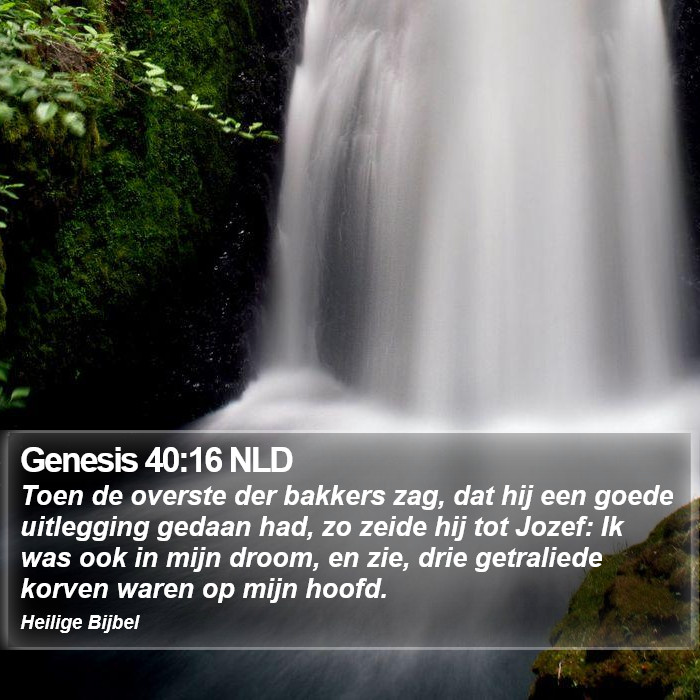 Genesis 40:16 NLD Bible Study