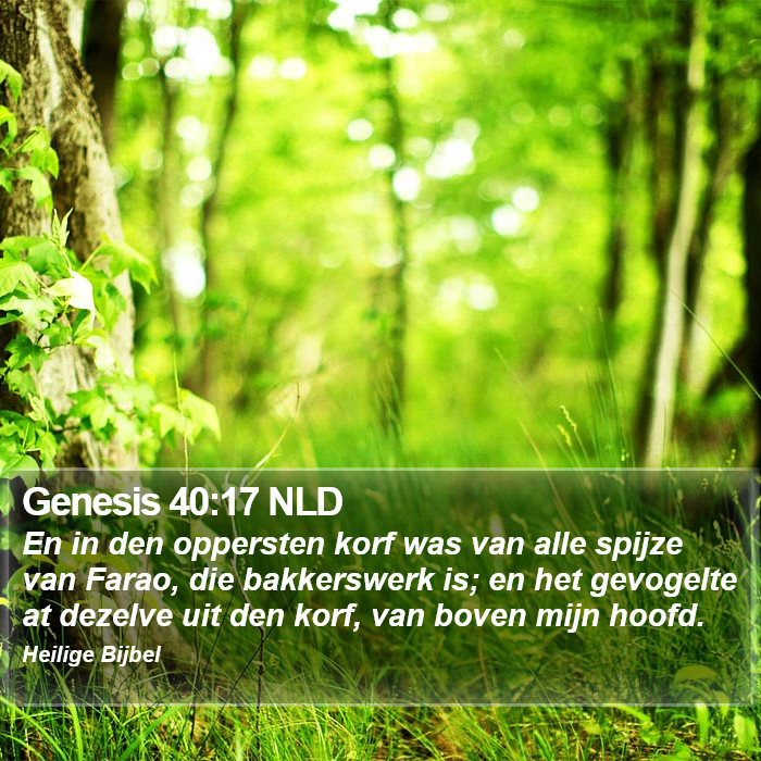 Genesis 40:17 NLD Bible Study