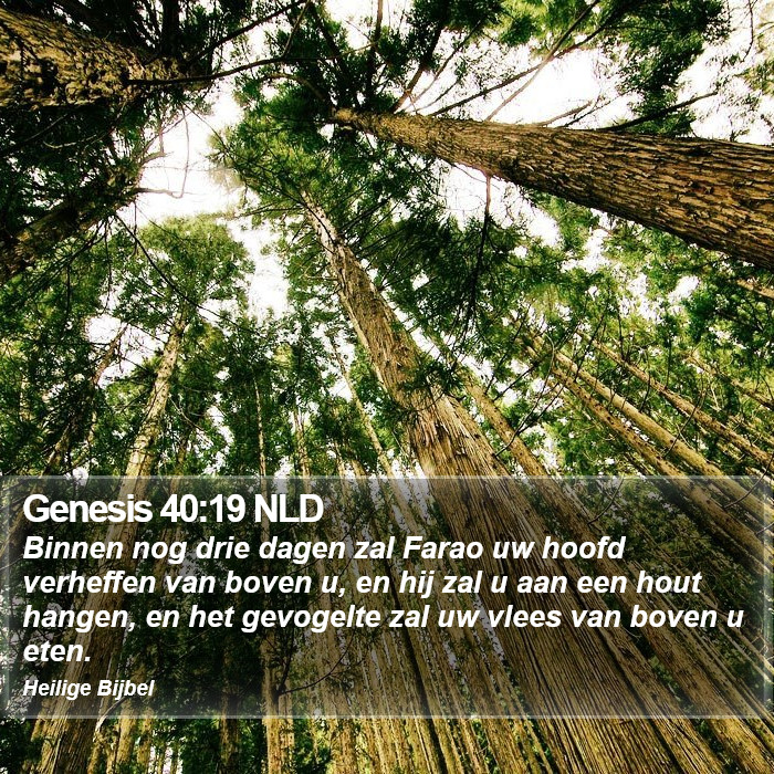 Genesis 40:19 NLD Bible Study
