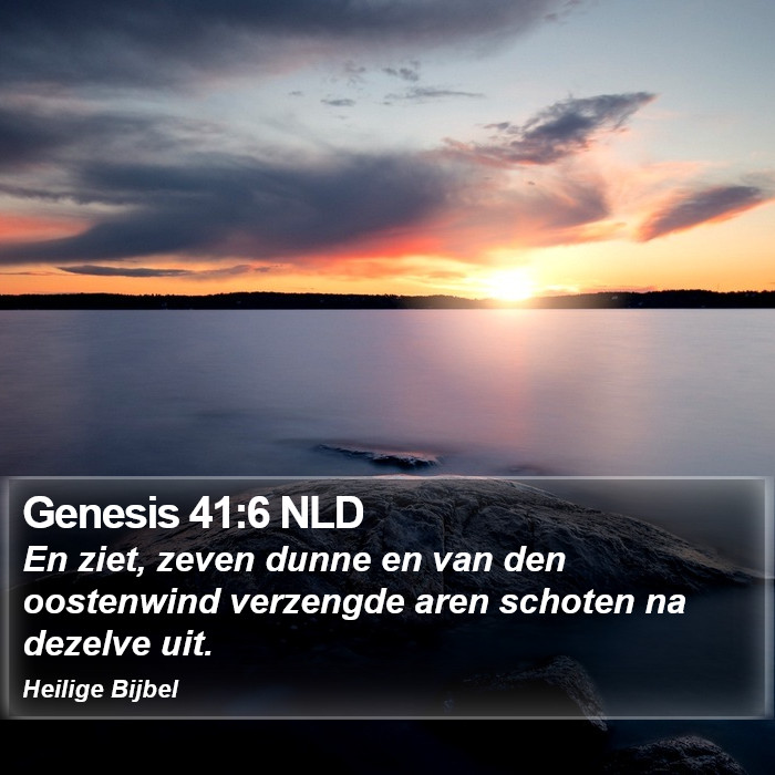 Genesis 41:6 NLD Bible Study