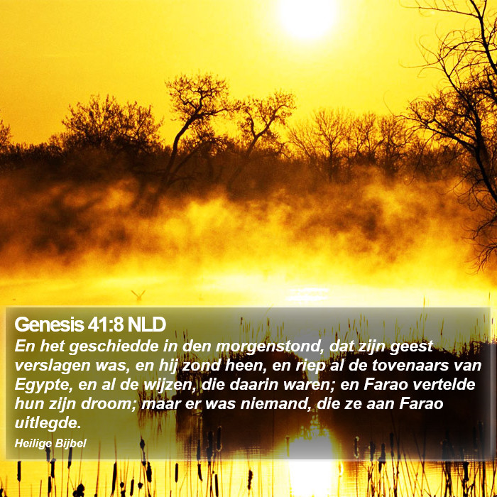 Genesis 41:8 NLD Bible Study