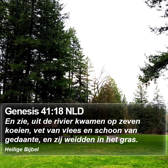 Genesis 41:18 NLD Bible Study