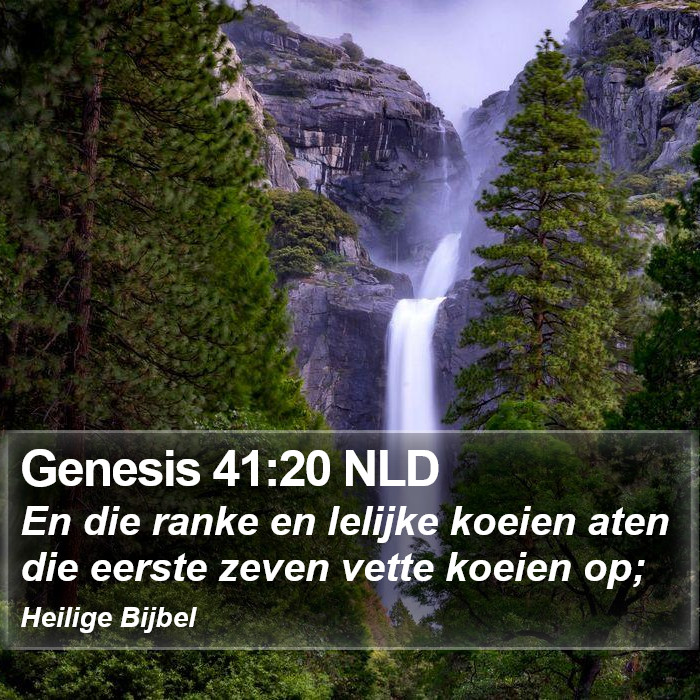 Genesis 41:20 NLD Bible Study