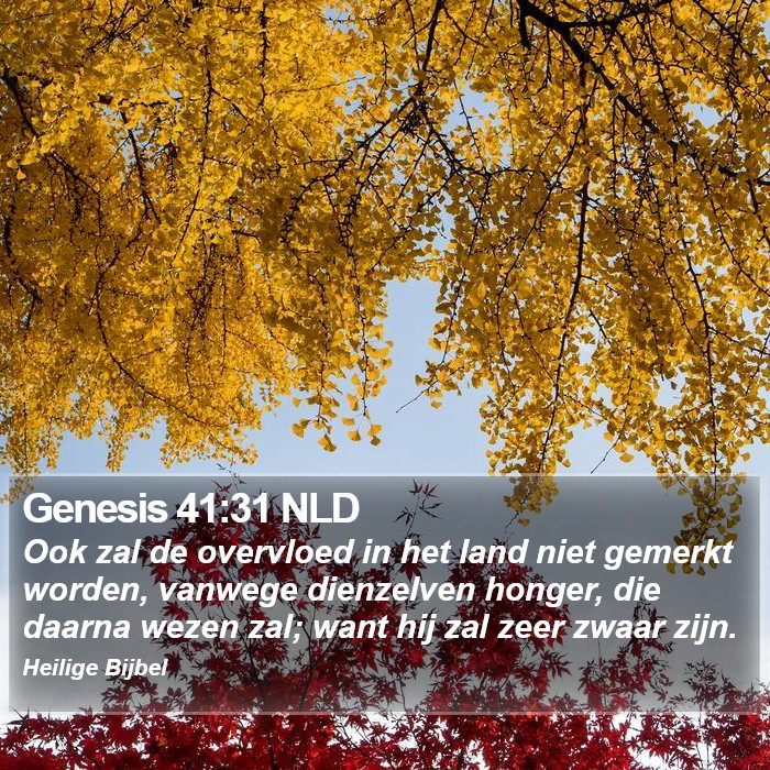 Genesis 41:31 NLD Bible Study