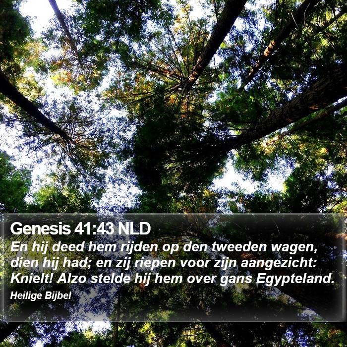 Genesis 41:43 NLD Bible Study