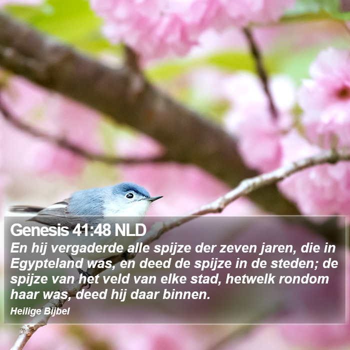 Genesis 41:48 NLD Bible Study