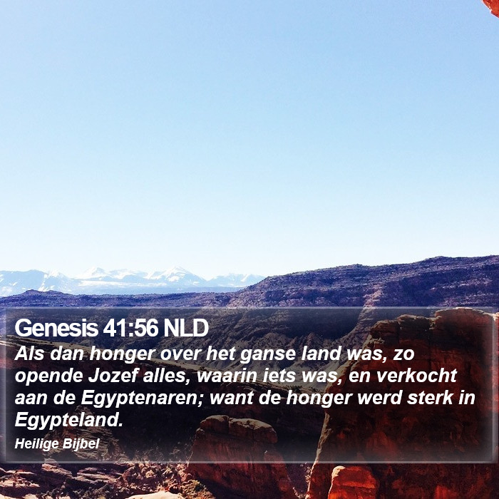 Genesis 41:56 NLD Bible Study