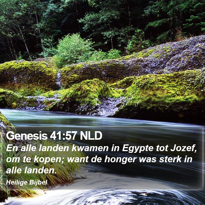 Genesis 41:57 NLD Bible Study