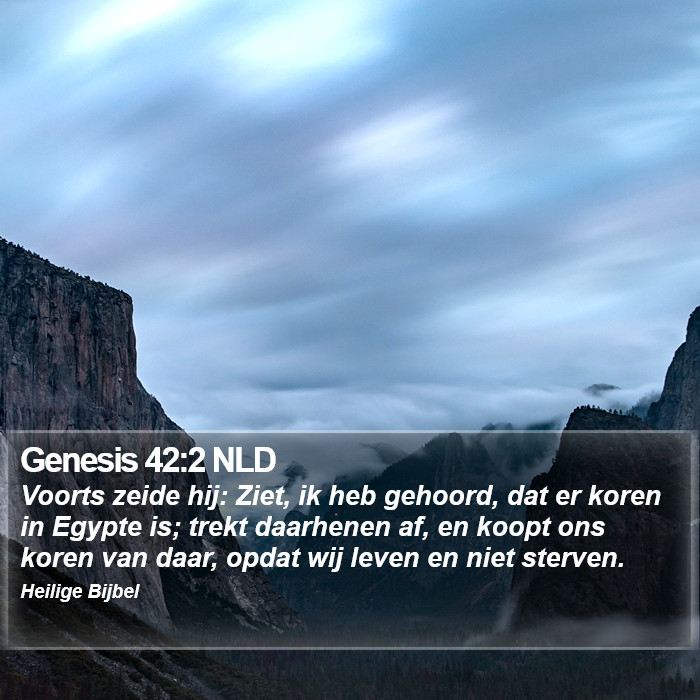 Genesis 42:2 NLD Bible Study