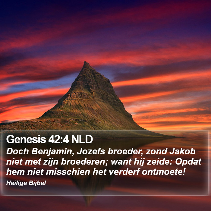 Genesis 42:4 NLD Bible Study