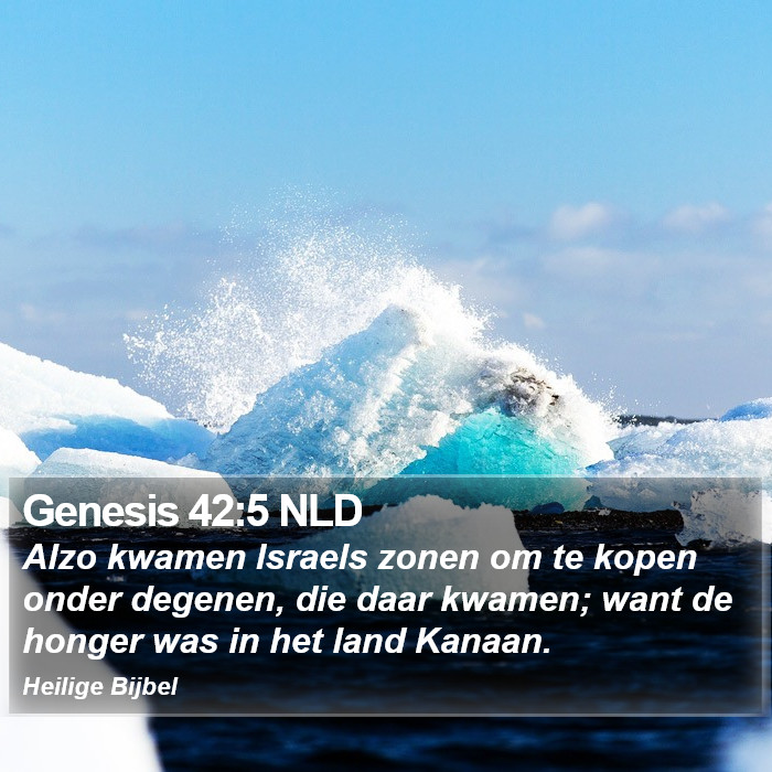 Genesis 42:5 NLD Bible Study
