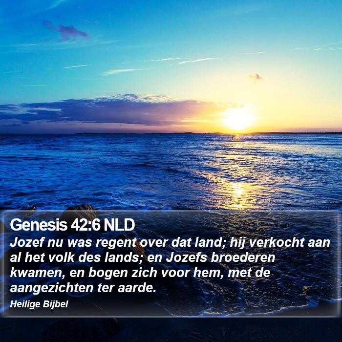 Genesis 42:6 NLD Bible Study