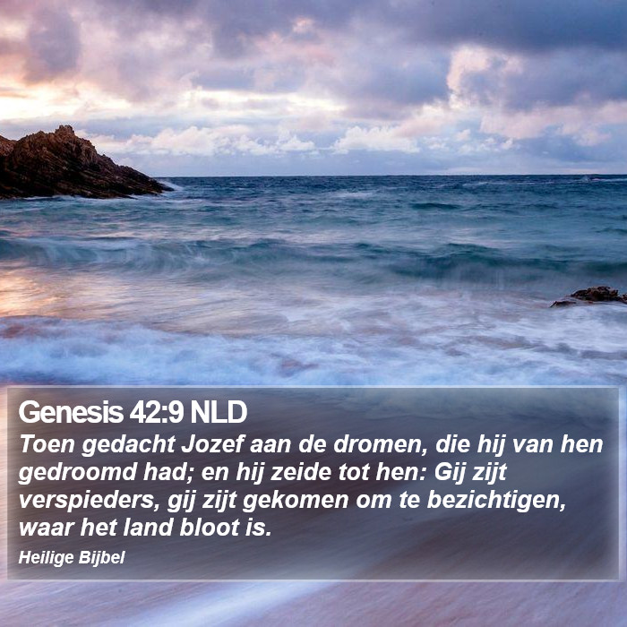 Genesis 42:9 NLD Bible Study