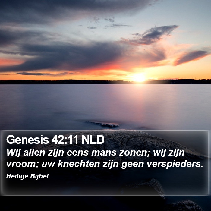 Genesis 42:11 NLD Bible Study