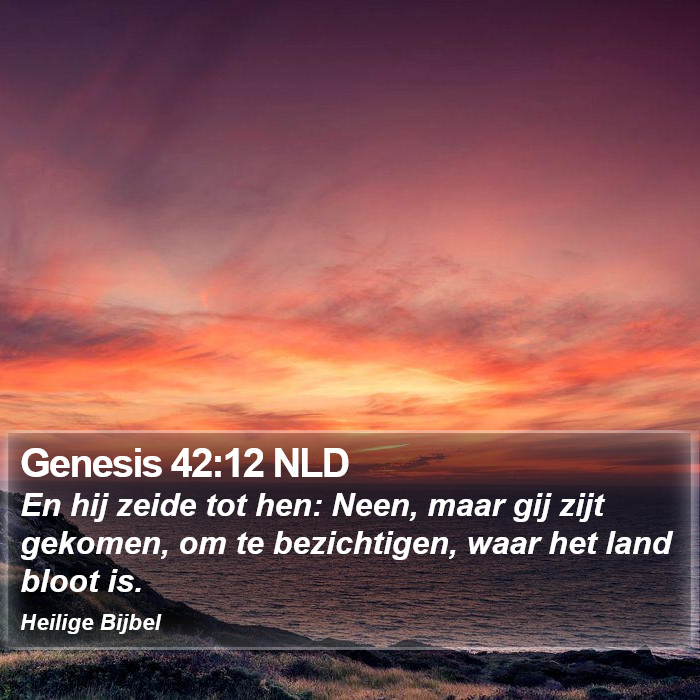 Genesis 42:12 NLD Bible Study