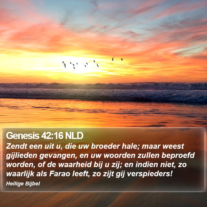 Genesis 42:16 NLD Bible Study