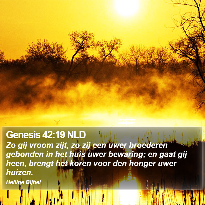 Genesis 42:19 NLD Bible Study