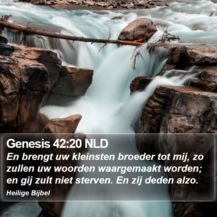 Genesis 42:20 NLD Bible Study