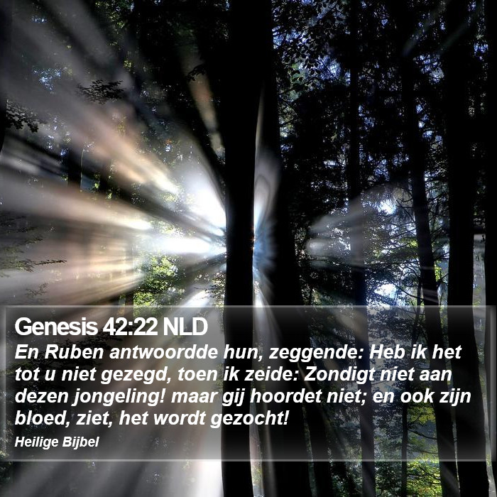 Genesis 42:22 NLD Bible Study