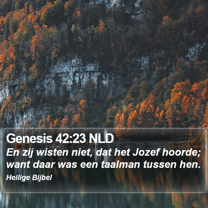 Genesis 42:23 NLD Bible Study