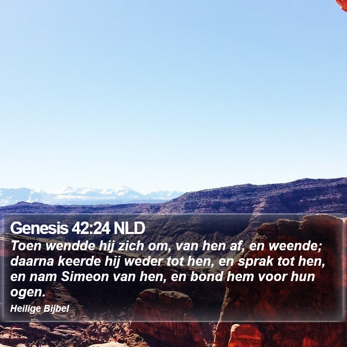 Genesis 42:24 NLD Bible Study