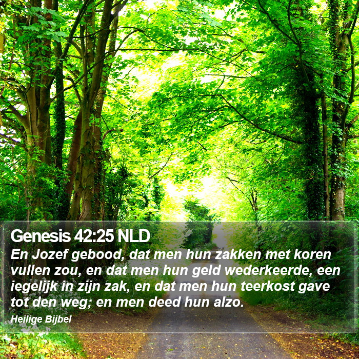 Genesis 42:25 NLD Bible Study