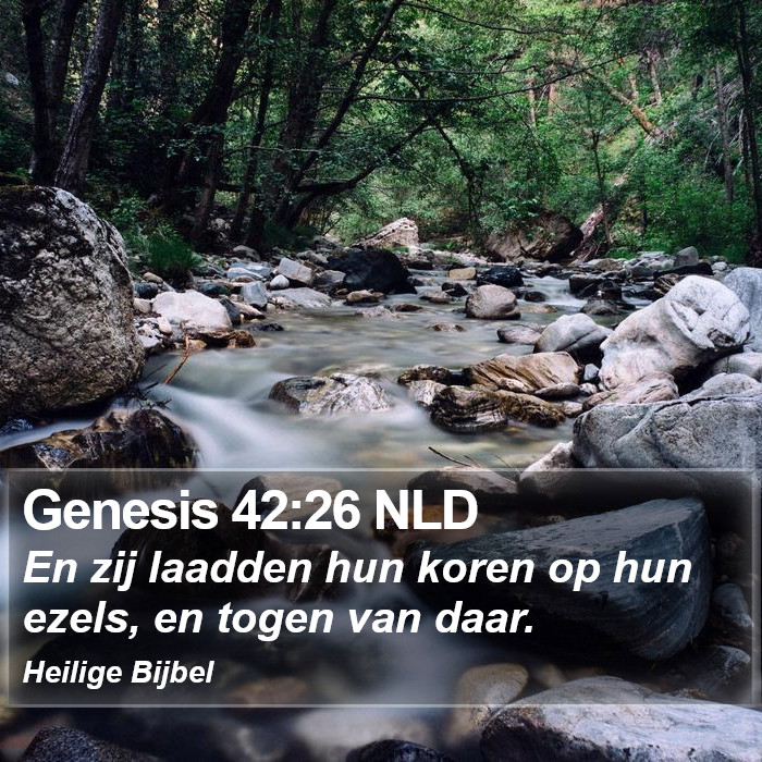 Genesis 42:26 NLD Bible Study