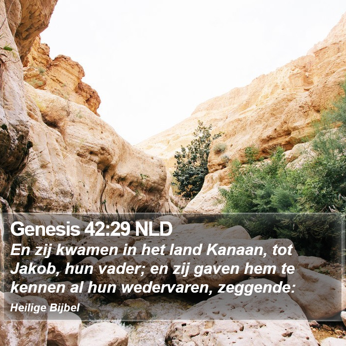 Genesis 42:29 NLD Bible Study