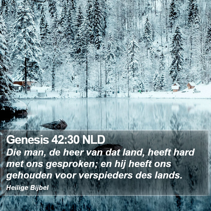 Genesis 42:30 NLD Bible Study