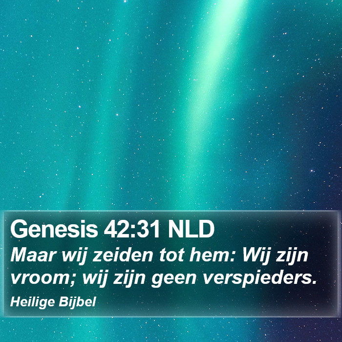 Genesis 42:31 NLD Bible Study
