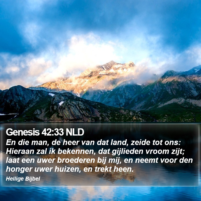 Genesis 42:33 NLD Bible Study
