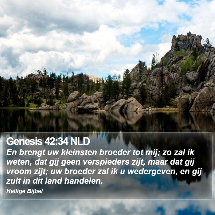 Genesis 42:34 NLD Bible Study