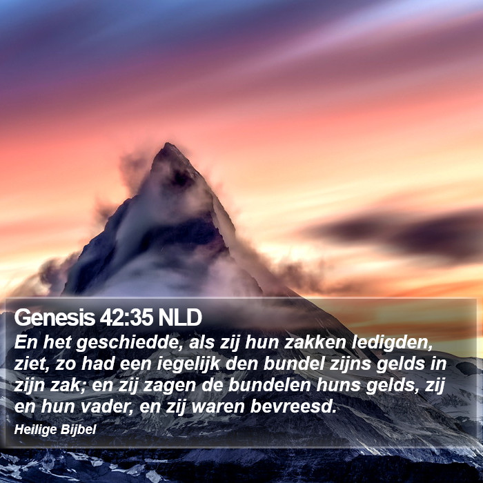 Genesis 42:35 NLD Bible Study