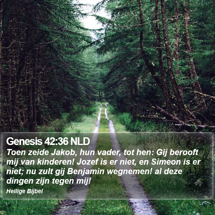 Genesis 42:36 NLD Bible Study