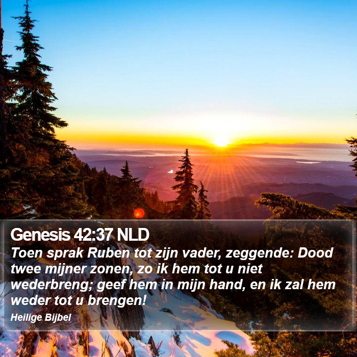 Genesis 42:37 NLD Bible Study